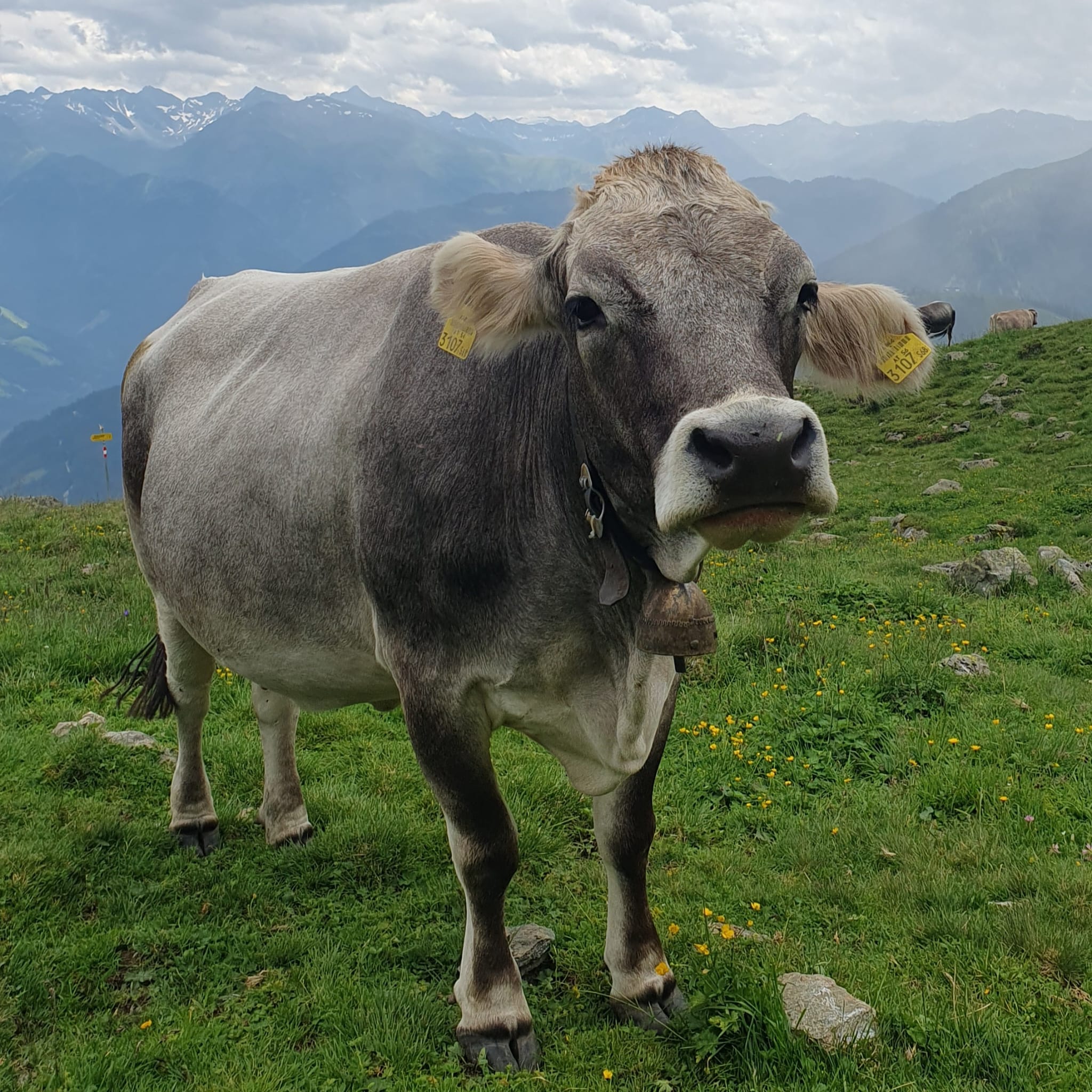 Auszeit Berge